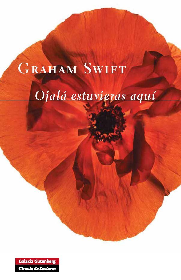 Ojalá estuvieras aquí, de Swift | portada del libro