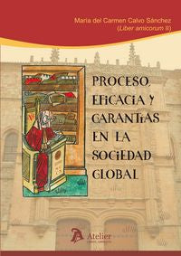 Proceso, eficacia y garantías en la sociedad global. | portada del libro