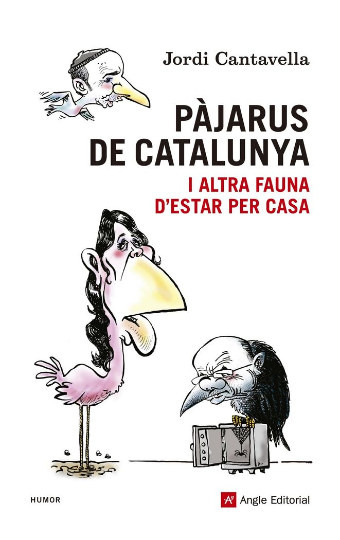 (CAT).17.PAJARUS DE CATALUNYA...I ALTRA FAUNA D'ESTAR PER.., de CANTAVELLA, JORDI | portada del libro