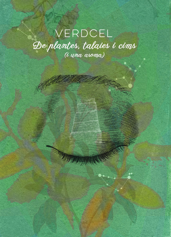 De plantes, talaies i cims (i una aroma), de Olmo Boronat, Alfons | portada del libro