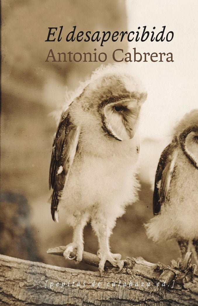 El desapercibido, de Cabrera Serrano, Antonio | portada del libro