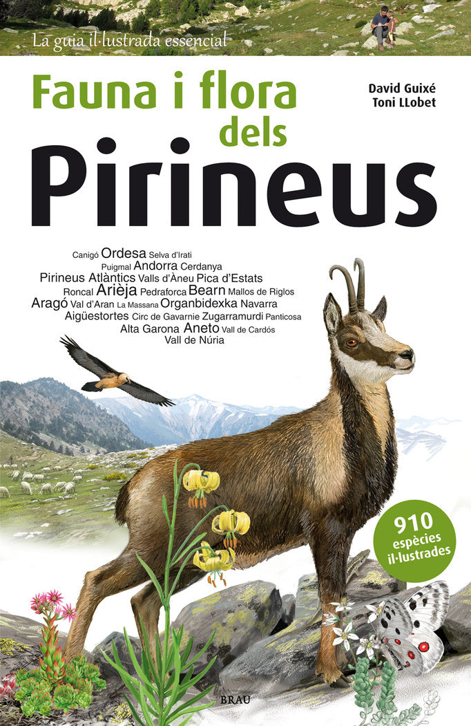 Fauna i flora dels Pirineus, de Guixé Coromines, David | portada del libro