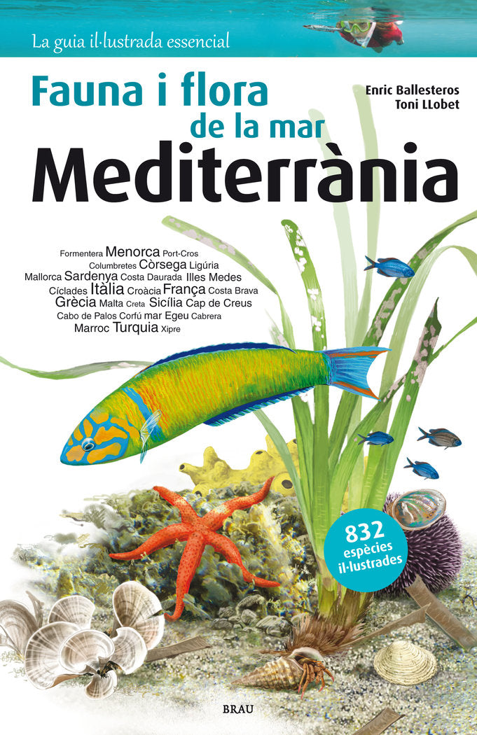 Flora i fauna de la mar Mediterrània, de Ballesteros Sagarra | portada del libro