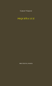 PEQUEÑA LUZ, de Vásquez Tamayo | portada del libro