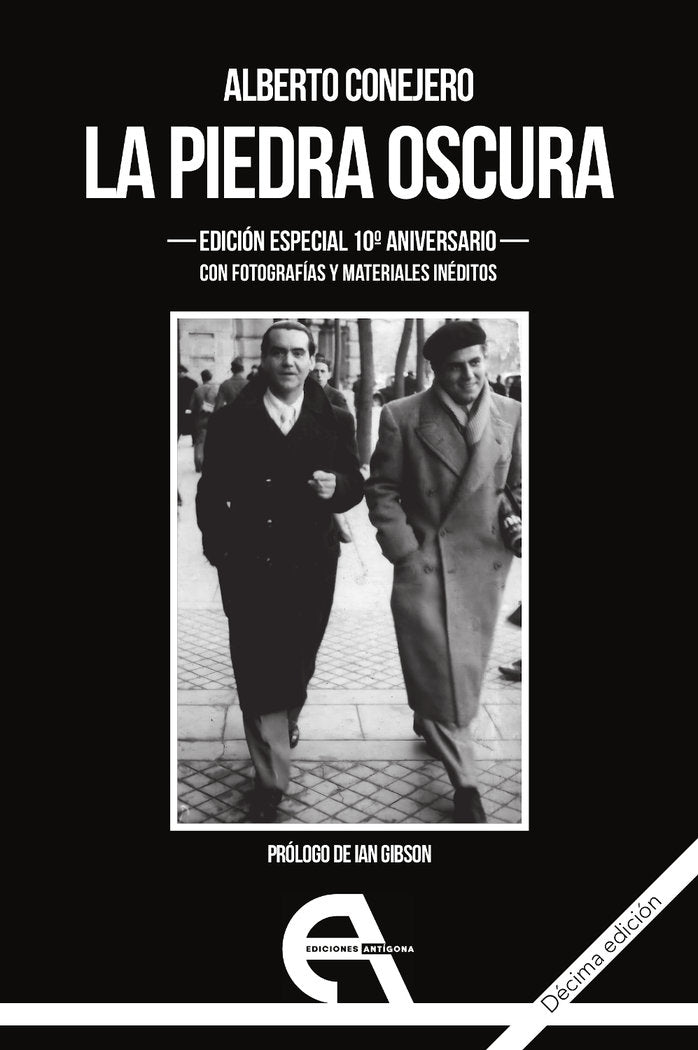 La piedra oscura, de Conejero, Alberto | portada del libro