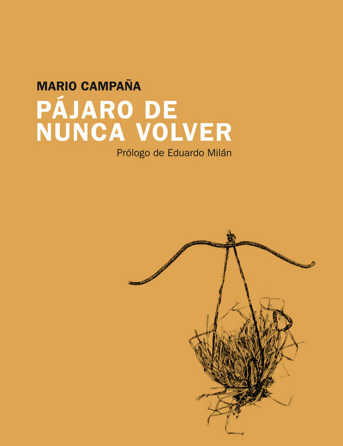 Pájaro de nunca volver, de Campaña Avilés, Mario | portada del libro