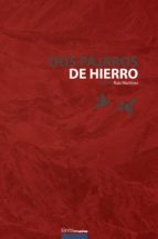Dos pájaros de hierro, de GAZTEA RUIZ MARTINEZ | portada del libro