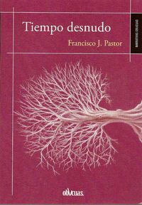 TIEMPO DESNUDO, de PASTOR GONZÁLEZ | portada del libro