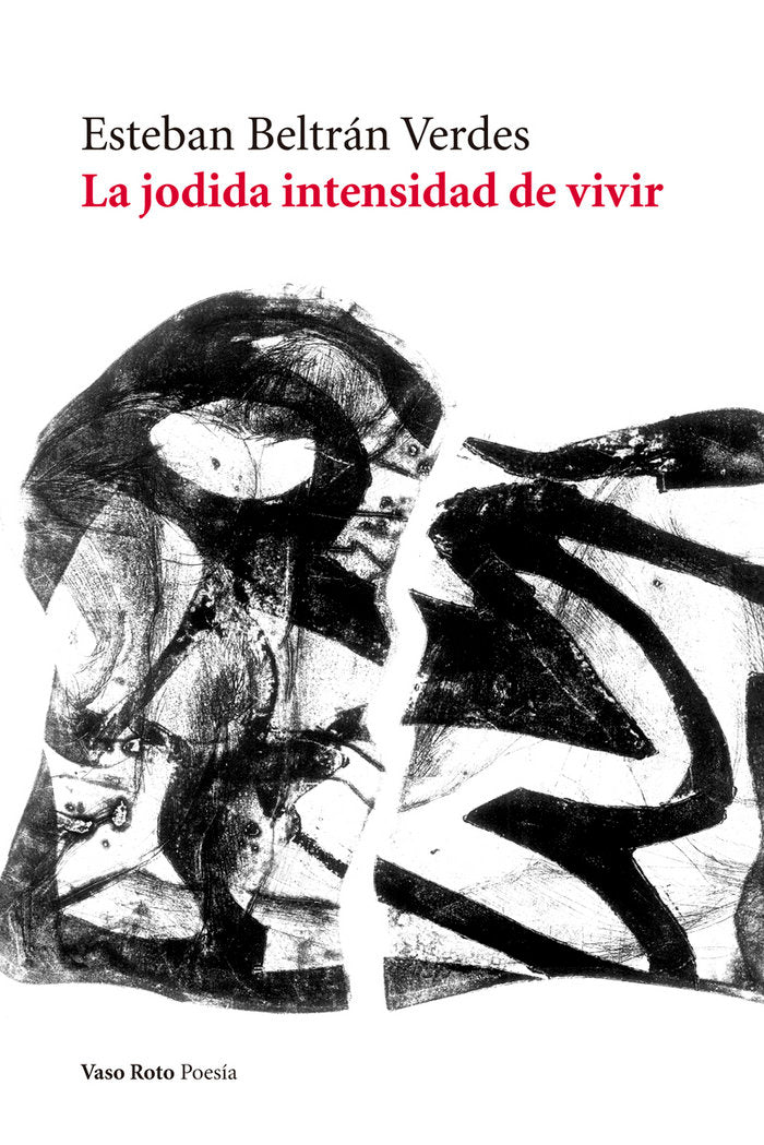 La jodida intensidad de vivir, de Beltrán Verdes, Esteban | portada del libro
