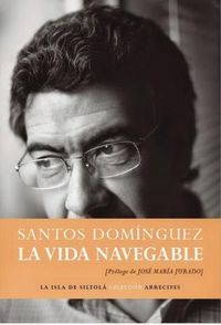 La vida navegable, de Domínguez Ramos | portada del libro