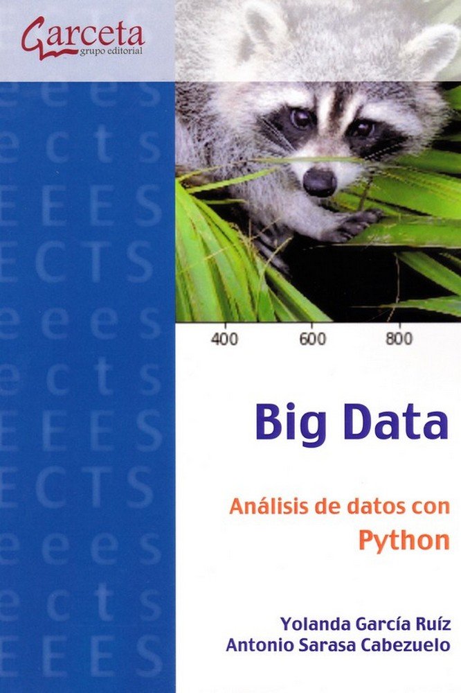 Big Data, de García Ruiz, Yolanda | portada del libro