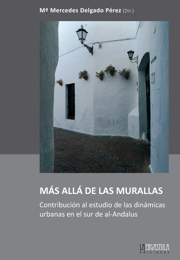 Más allá de las murallas. Contribución al estudio de las dinámicas urbanas en el sur de al-Andalus | portada del libro