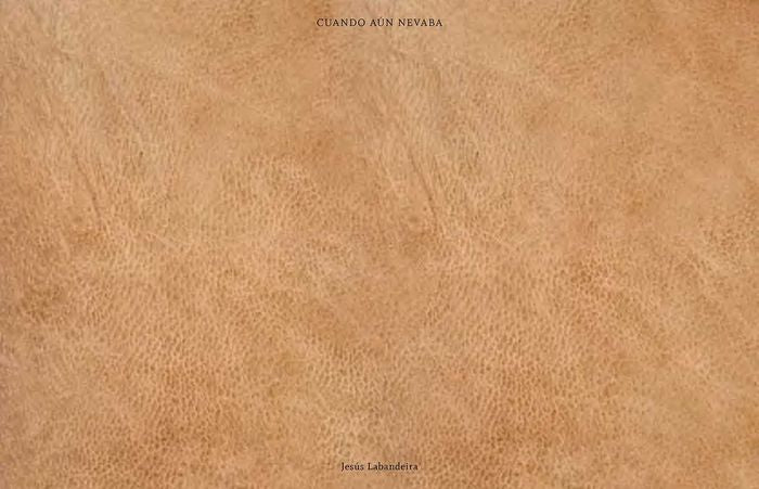 CUANDO AUN NEVABA | portada del libro