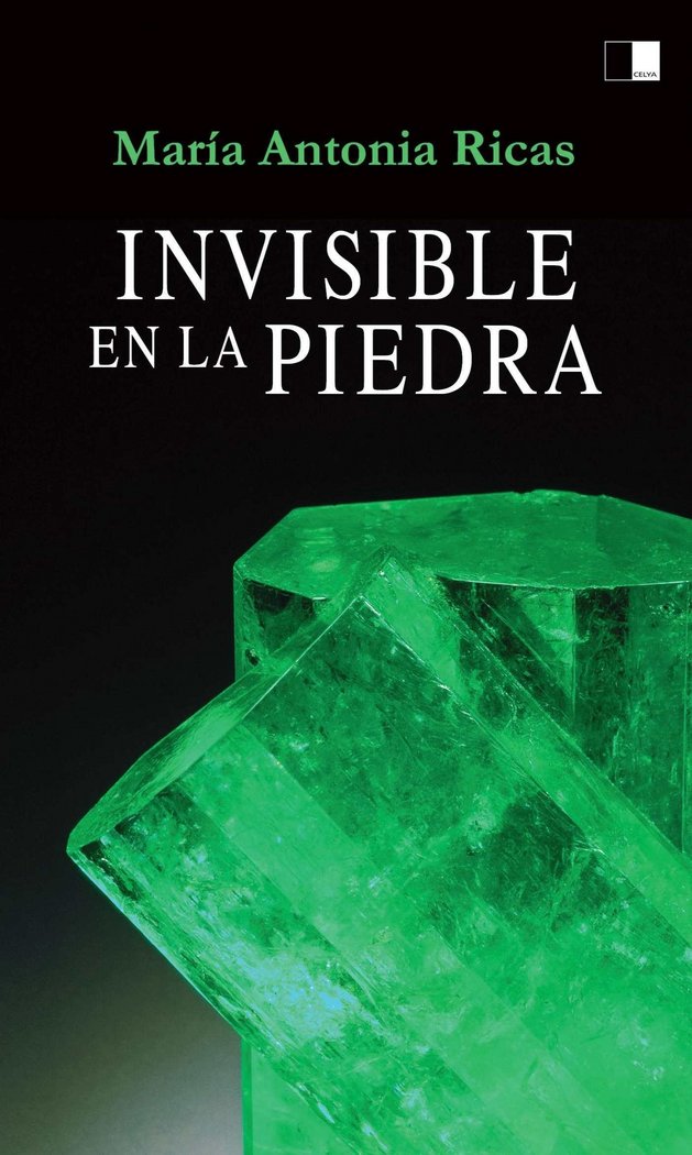 INVISIBLE EN LA PIEDRA, de RICAS PECES | portada del libro