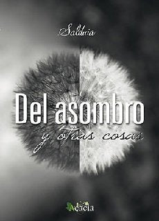 Del asombro y otras cosas, de Herrera Gimeno | portada del libro