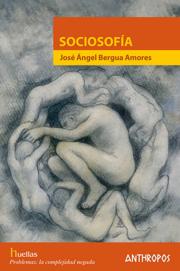 Sociosofía, de Bergua Amores, José Ángel | portada del libro