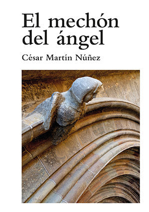 El méchon del ángel, de Martín Nuñez, César | portada del libro