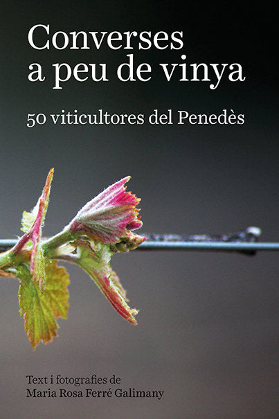 CONVERSES A PEU DE VINYA, de FERRE GALIMANY, MARIA ROSA | portada del libro
