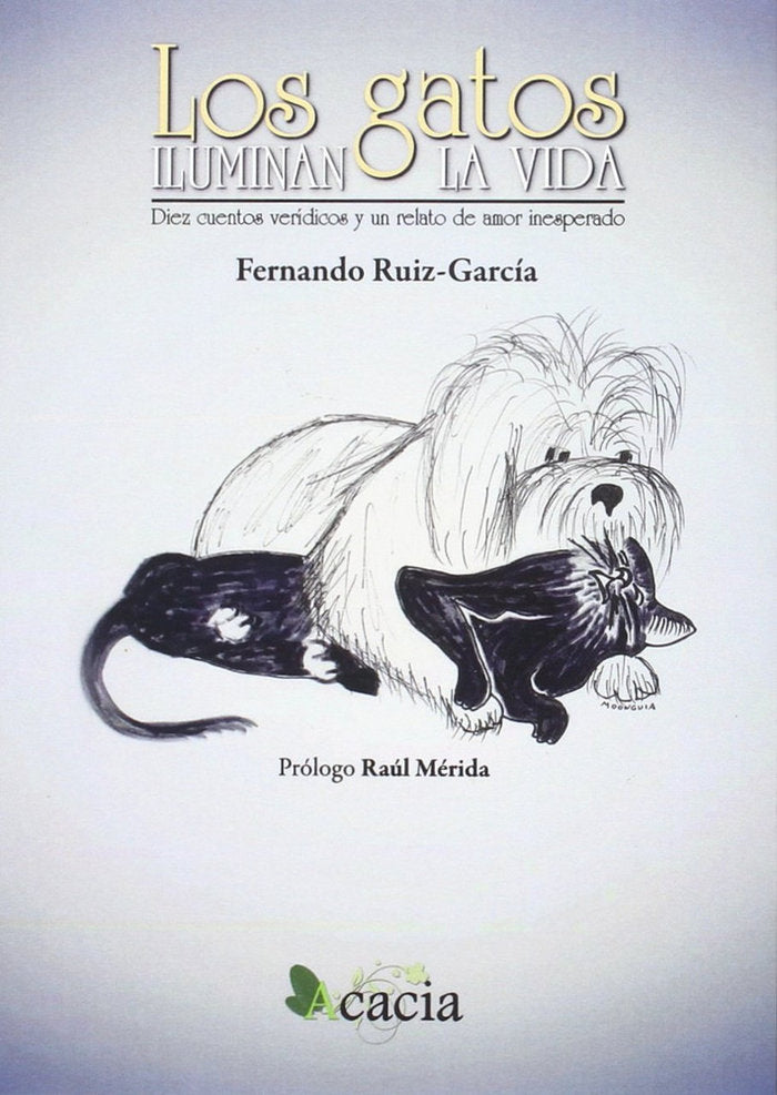 Los gatos iluminan la vida, de Ruiz-García | portada del libro