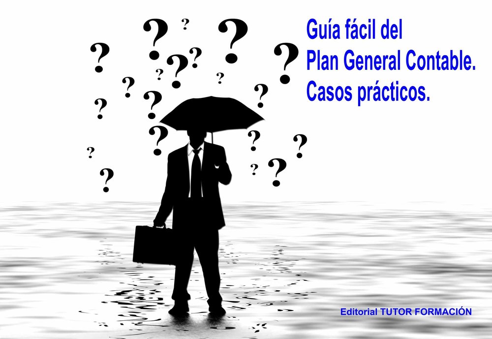 GUIA FACIL DEL PLAN GENERAL CONTABLE: CASOS PRACTICOS., de DOMINGUEZ GONZALO, ENRIQUE | portada del libro
