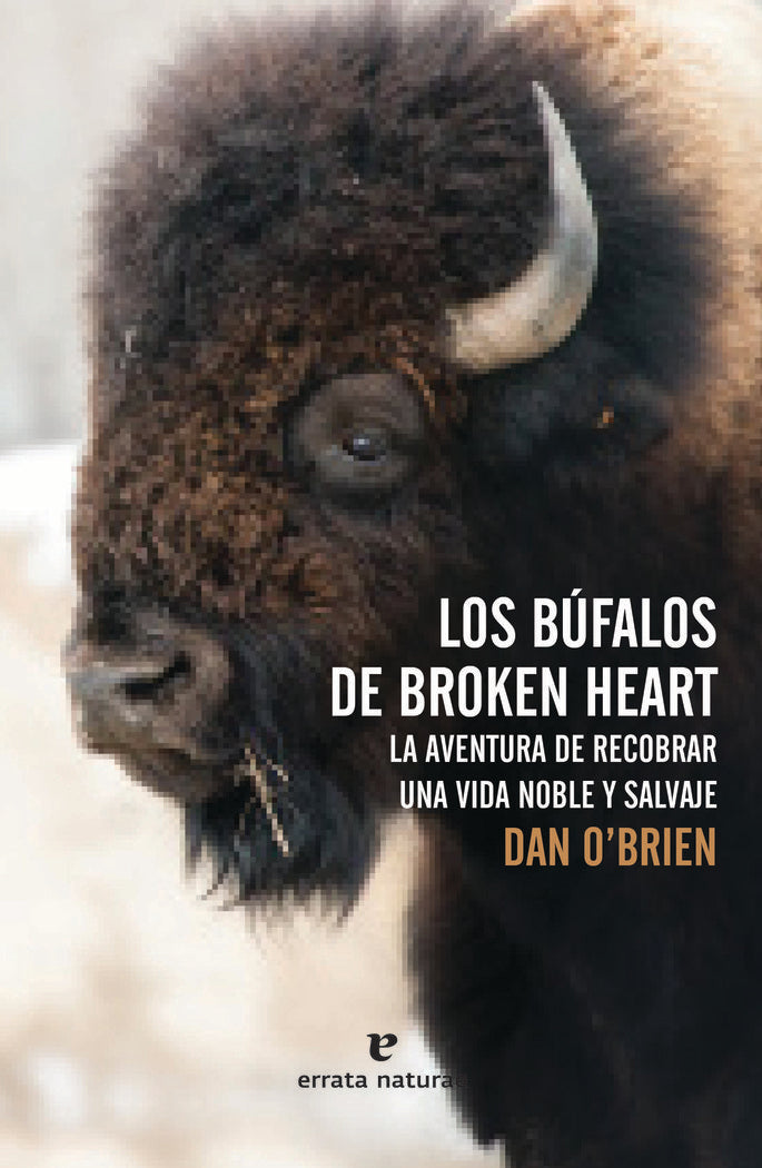 Los Búfalos de Broken Heart, de O'Brien, Dan | portada del libro