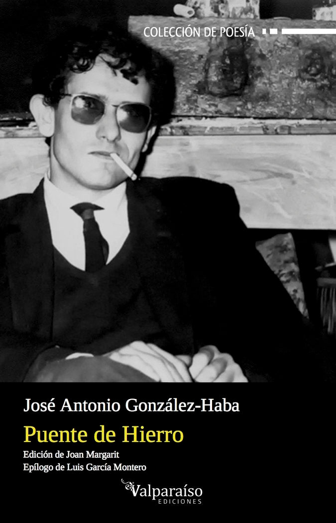 Puente de Hierro, de González-Haba Guisado, José Antonio | portada del libro