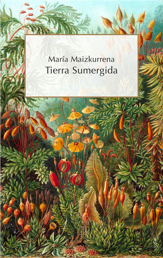 Tierra sumergida, de MAIZKURRENA,MARIA | portada del libro