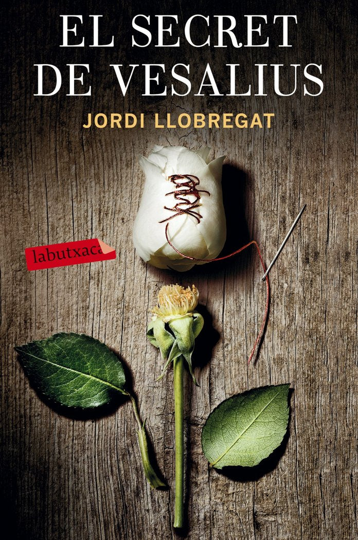El secret de Vesalius, de Llobregat | portada del libro