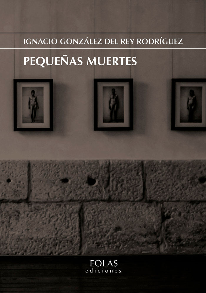 PEQUEÑAS MUERTES, de GONZÁLEZ DEL REY RODRÍGUEZ, IGNACIO | portada del libro