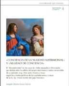 Conciencia de la nulidad matrimonial y nulidad de conciencia, de JOAQUIN ALBERTO NIEVA GARCIA | portada del libro
