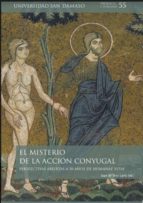El misterio de la acción conyugal, de JUAN DE DIOS LARRU | portada del libro