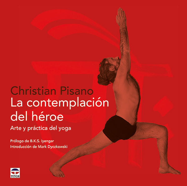 La contemplación del héroe, de Pisano | portada del libro