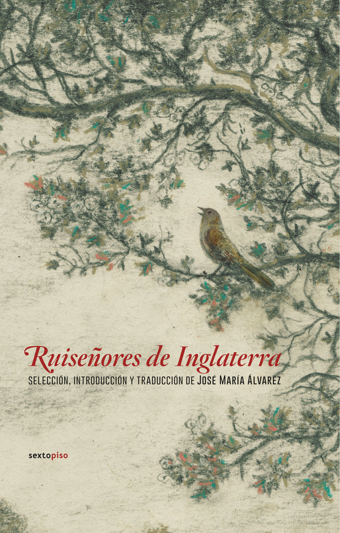 Ruiseñores de Inglaterra, de Varios autores | portada del libro