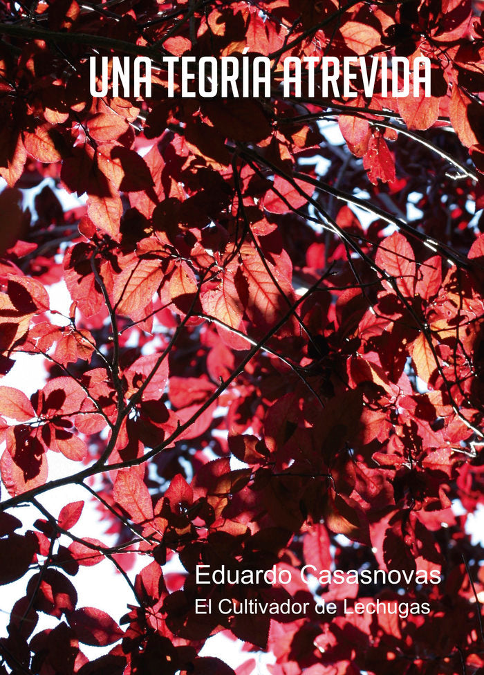 UNA TEORÍA ATREVIDA, de Casasnovas Susanna, Eduardo | portada del libro