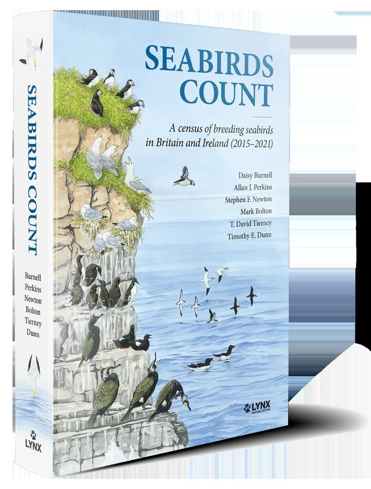 Seabirds Count, de BURNELL, DAISY | portada del libro