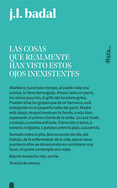 Las cosas que realmente han visto estos ojos inexistentes, de Badal, Josep Lluís | portada del libro