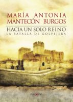 Hacia un solo reino, de Mantecón Burgos | portada del libro