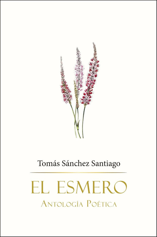 EL ESMERO, de SANCHEZ SANTIAGO, TOMAS | portada del libro