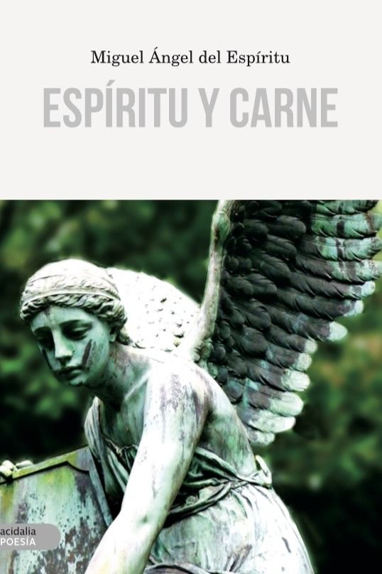 ESPIRITU Y CARNE, de Del Espíritu | portada del libro