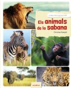 Els animals de la sabana, de CHRISTINE POMPEI | portada del libro
