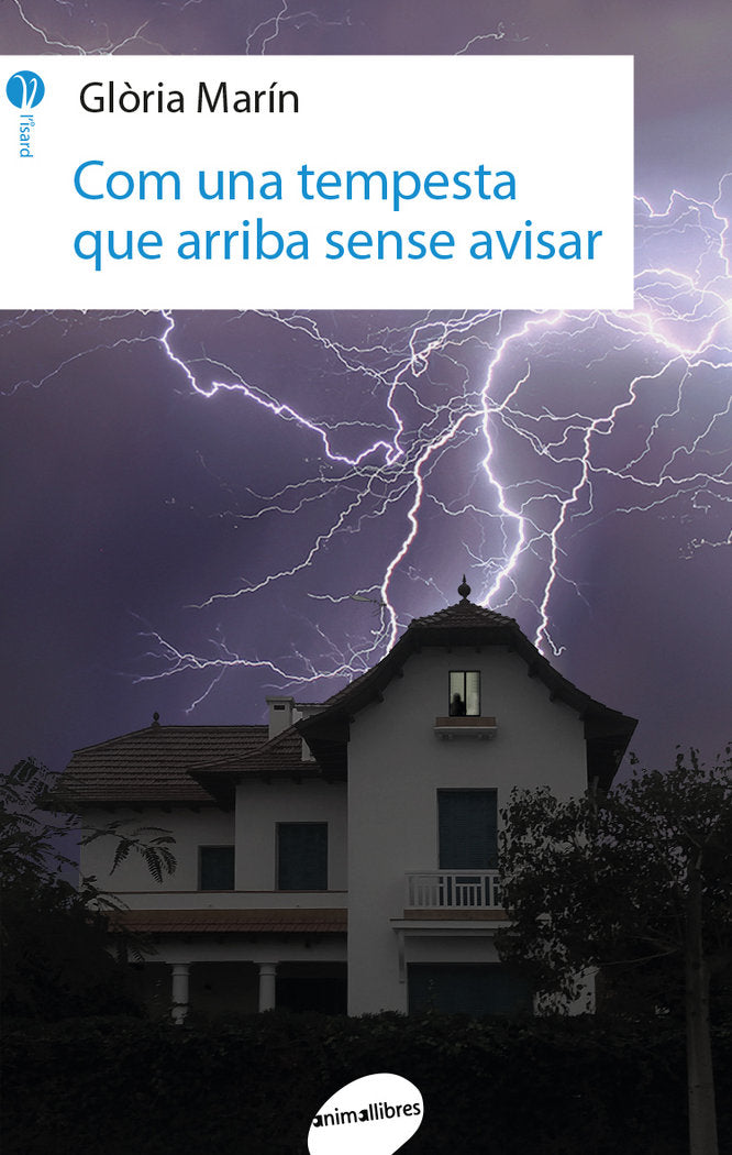 Com una tempesta que arriba sense avisar, de Glòria Marín i Moro | portada del libro