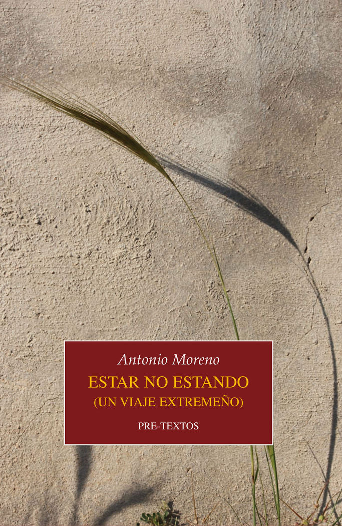 ESTAR NO ESTANDO, de Moreno Guerrero | portada del libro