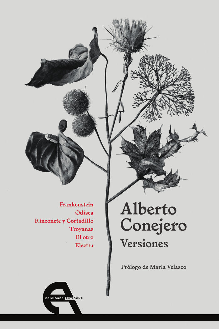 Versiones, de Conejero | portada del libro
