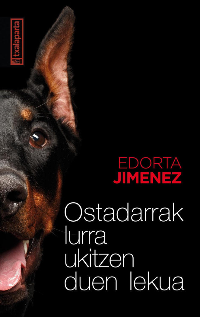 Ostadarrak lurra ukitzen duen lekua, de Jimenez Ormaetxea, Edorta | portada del libro
