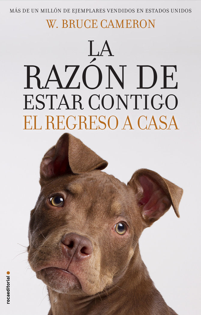 La razón de estar contigo. El regreso a casa, de Cameron, W. Bruce | portada del libro