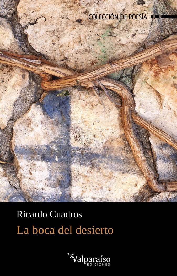 LA BOCA DEL DESIERTO, de CUADROS, RICARDO | portada del libro