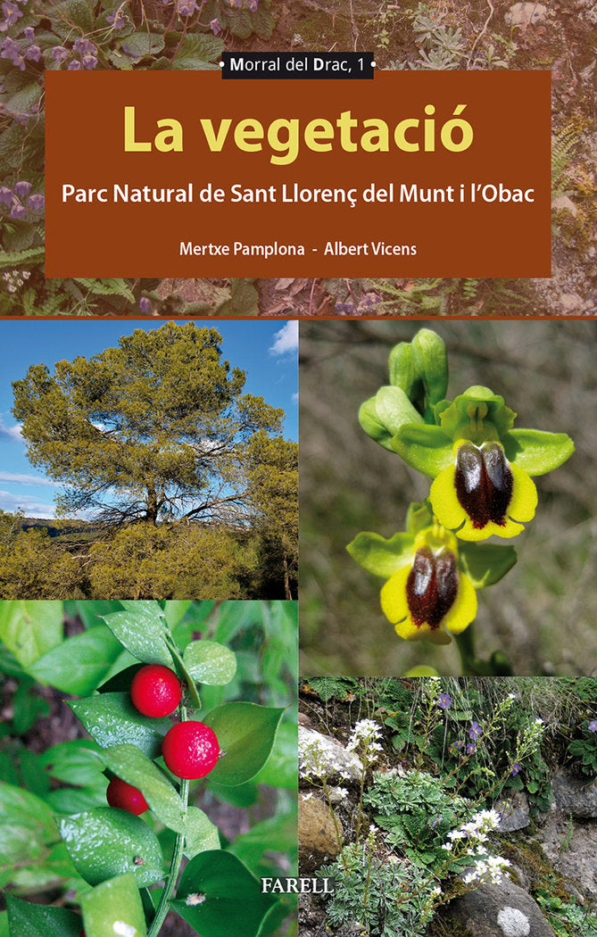 La vegetacio. Parc Natural de Sant Llorens del Munt i l Obac, de VICENS LLAURADO, ALBERT | portada del libro