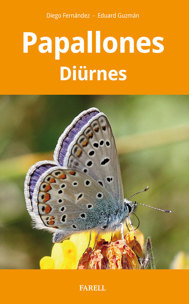 PAPALLONES DIURNES DE CATALUNYA, de FERNANDEZ RUIZ, DIEGO | portada del libro