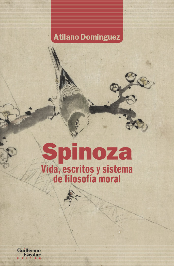 Spinoza, de Domínguez Basalo | portada del libro