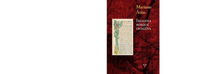 Imagina bosque imagina, de Arias Páramo, Mariano | portada del libro